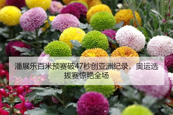 潘展乐百米预赛破47秒创亚洲纪录，奥运选拔赛惊艳全场